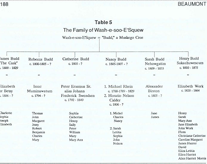 Family Chart of Muskego Budd